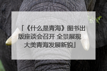 《什么是青海》图书出版座谈会召开 全景展现大美青海发展新貌