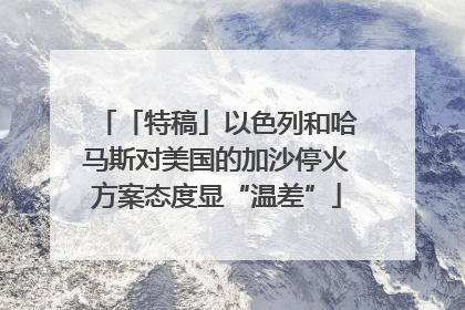 「特稿」以色列和哈马斯对美国的加沙停火方案态度显“温差”