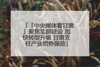「中央媒体看甘肃」聚焦集群建设 加快转型升级 甘肃支柱产业增势强劲