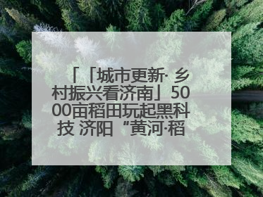 「城市更新· 乡村振兴看济南」5000亩稻田玩起黑科技 济阳“黄河·稻乡湾”靠“非遗+露营”火出圈