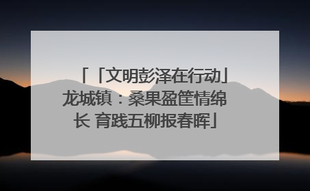 「文明彭泽在行动」龙城镇：桑果盈筐情绵长 育践五柳报春晖