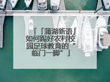 「蒲湖新语」如何踢好农村校园足球教育的“临门一脚”