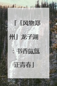 「风物郑州」龙子湖：书香氤氲正青春