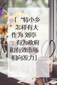 “特小乡”怎样有大作为 刘亭：有为政府和有效市场相向发力