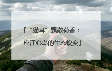 “猫耳”飘散荷香：一座江心岛的生态蜕变