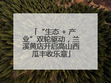 “生态 + 产业”双轮驱动，兰溪黄店开启高山西瓜丰收乐章