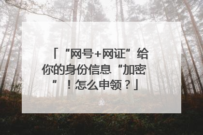 “网号+网证”给你的身份信息“加密”！怎么申领？