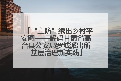 “主防”绣出乡村平安图——解码甘肃省高台县公安局罗城派出所基层治理新实践