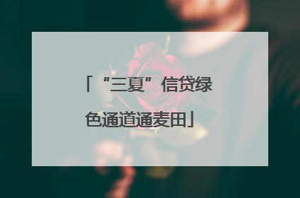 “三夏”信贷绿色通道通麦田