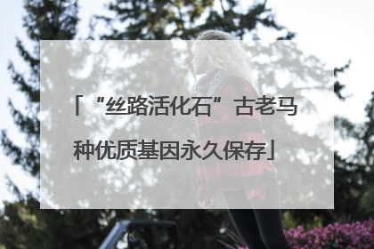 “丝路活化石”古老马种优质基因永久保存