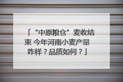 “中原粮仓”麦收结束 今年河南小麦产量咋样？品质如何？