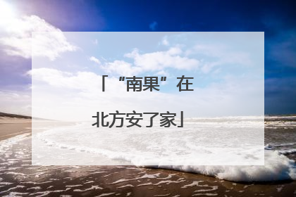 “南果”在北方安了家