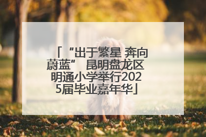 “出于繁星 奔向蔚蓝” 昆明盘龙区明通小学举行2025届毕业嘉年华
