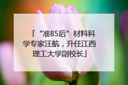 “准85后”材料科学专家汪航，升任江西理工大学副校长