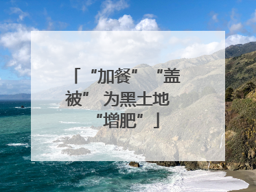 “加餐”“盖被” 为黑土地“增肥”