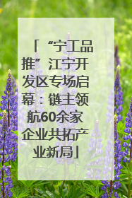 “宁工品推”江宁开发区专场启幕：链主领航60余家企业共拓产业新局