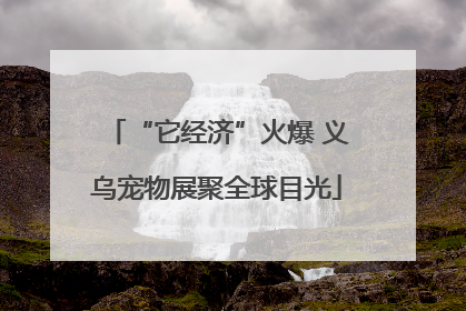 “它经济”火爆 义乌宠物展聚全球目光