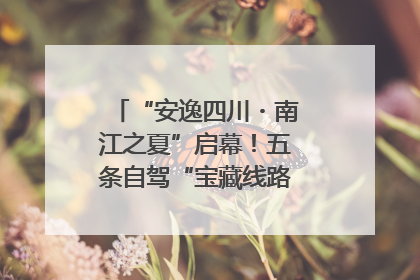 “安逸四川・南江之夏”启幕！五条自驾“宝藏线路”串联避暑胜地