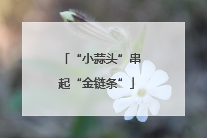 “小蒜头”串起“金链条”