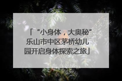 “小身体，大奥秘” 乐山市中区茅桥幼儿园开启身体探索之旅
