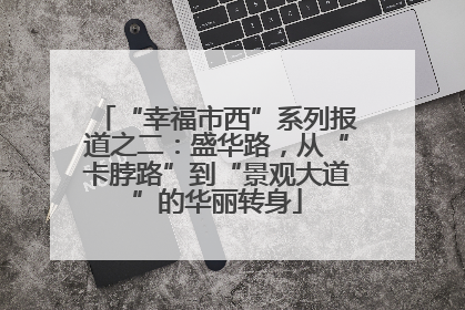 “幸福市西”系列报道之二：盛华路，从“卡脖路”到“景观大道”的华丽转身