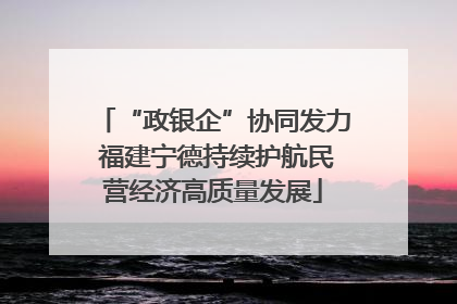 “政银企”协同发力 福建宁德持续护航民营经济高质量发展
