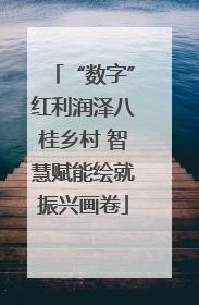“数字”红利润泽八桂乡村 智慧赋能绘就振兴画卷