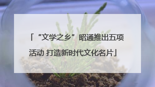 “文学之乡”昭通推出五项活动 打造新时代文化名片