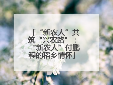 “新农人”共筑“兴农路”：“新农人”付鹏程的稻乡情怀