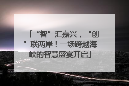 “智”汇嘉兴，“创”联两岸！一场跨越海峡的智慧盛宴开启