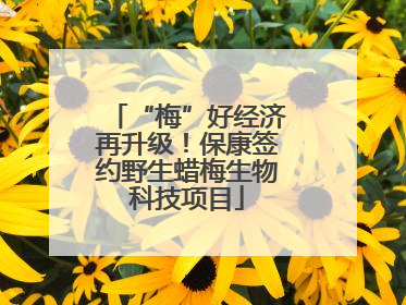 “梅”好经济再升级！保康签约野生蜡梅生物科技项目