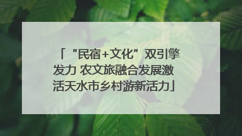 “民宿+文化”双引擎发力 农文旅融合发展激活天水市乡村游新活力