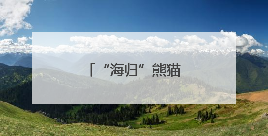 “海归”熊猫，温州亮相