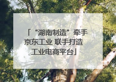 “湖南制造”牵手京东工业 联手打造工业电商平台
