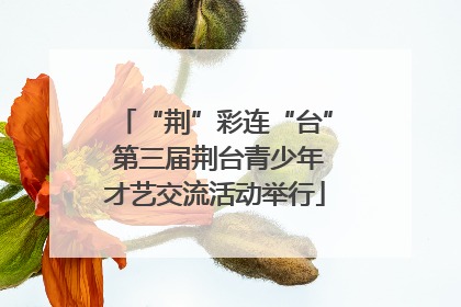 “荆”彩连“台” 第三届荆台青少年才艺交流活动举行