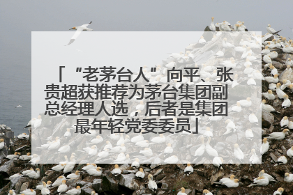 “老茅台人”向平、张贵超获推荐为茅台集团副总经理人选，后者是集团最年轻党委委员