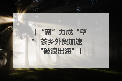 “聚”力成“擎” 茶乡外贸加速“破浪出海”