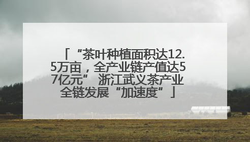 “茶叶种植面积达12.5万亩，全产业链产值达57亿元” 浙江武义茶产业全链发展“加速度”