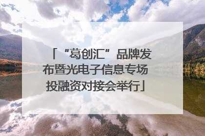 “葛创汇”品牌发布暨光电子信息专场投融资对接会举行