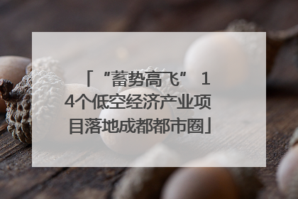 “蓄势高飞” 14个低空经济产业项目落地成都都市圈
