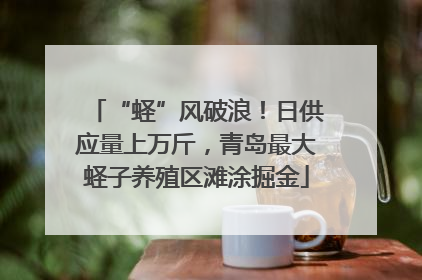 “蛏”风破浪！日供应量上万斤，青岛最大蛏子养殖区滩涂掘金