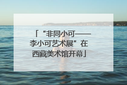 “非同小可——李小可艺术展”在西藏美术馆开幕