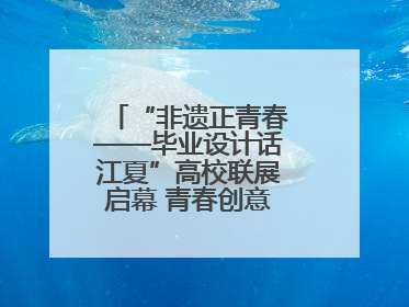 “非遗正青春——毕业设计话江夏”高校联展启幕 青春创意激活千年文脉