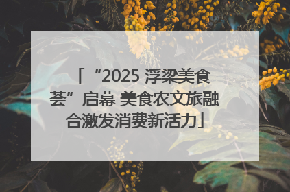 “2025 浮梁美食荟”启幕 美食农文旅融合激发消费新活力