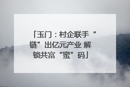 玉门：村企联手“链”出亿元产业 解锁共富“蜜”码