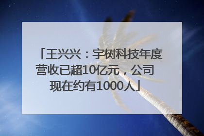 王兴兴：宇树科技年度营收已超10亿元，公司现在约有1000人