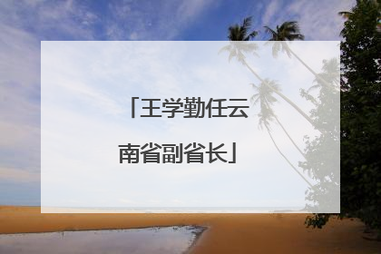 王学勤任云南省副省长