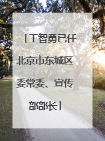 王智勇已任北京市东城区委常委、宣传部部长