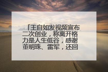 王自如发视频宣布二次创业，称离开格力是人生低谷，感谢董明珠、雷军，还回应了“工资条”：清楚自己要什么……