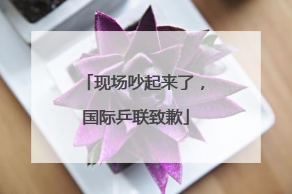 现场吵起来了，国际乒联致歉